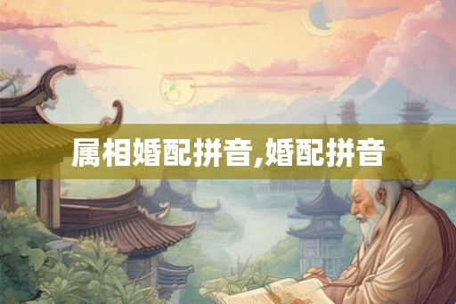 属相婚配拼音,婚配拼音