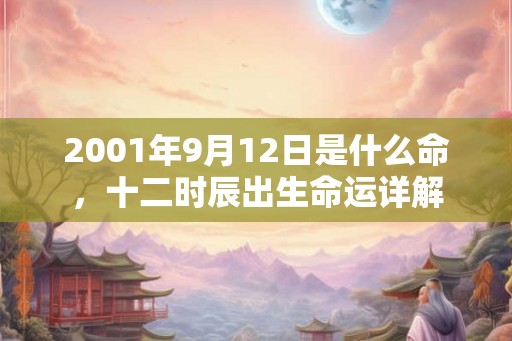 2001年9月12日是什么命，十二时辰出生命运详解