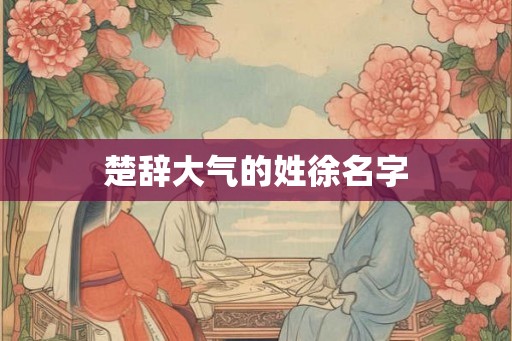 楚辞大气的姓徐名字 楚辞大气的姓徐名字