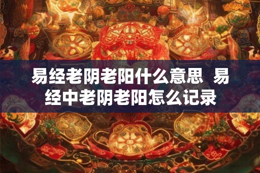易经老阴老阳什么意思  易经中老阴老阳怎么记录