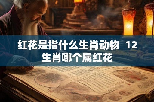 红花是指什么生肖动物  12生肖哪个属红花