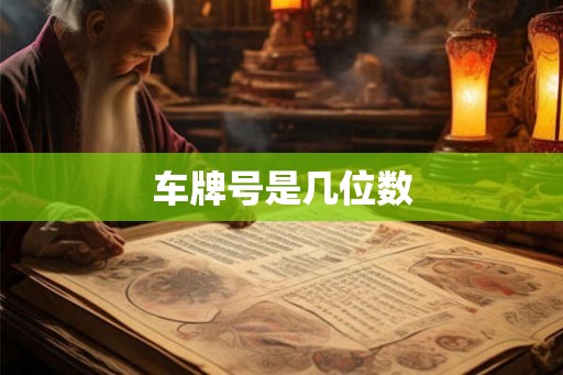 车牌号是几位数