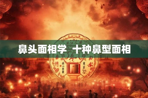 鼻头面相学  十种鼻型面相