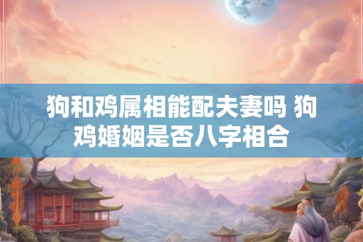 狗和鸡属相能配夫妻吗 狗鸡婚姻是否八字相合