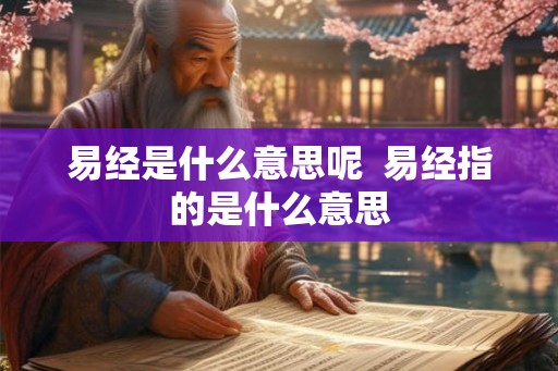 易经是什么意思呢  易经指的是什么意思