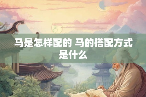 马是怎样配的 马的搭配方式是什么