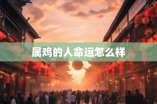 属鸡的人命运怎么样 属鸡的人命运怎么样