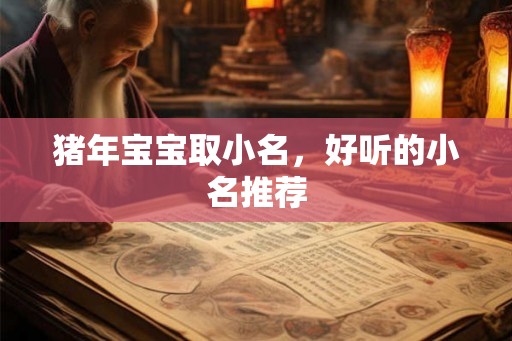 猪年宝宝取小名，好听的小名推荐