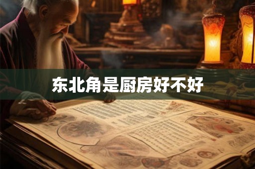 东北角是厨房好不好