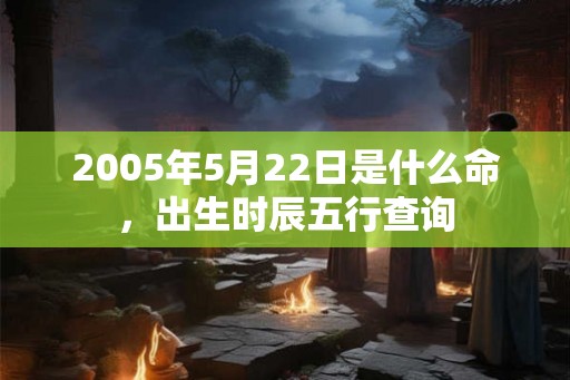 2005年5月22日是什么命，出生时辰五行查询