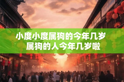小度小度属狗的今年几岁  属狗的人今年几岁啦