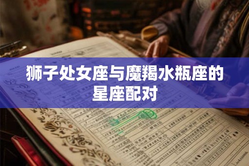 狮子处女座与魔羯水瓶座的星座配对