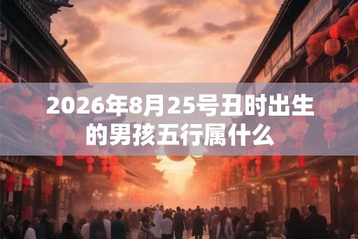 2026年8月25号丑时出生的男孩五行属什么