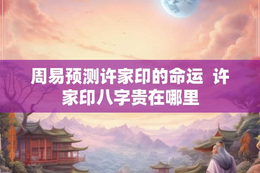 周易预测许家印的命运  许家印八字贵在哪里