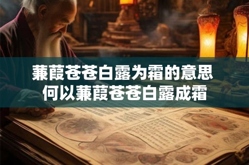 蒹葭苍苍白露为霜的意思 何以蒹葭苍苍白露成霜