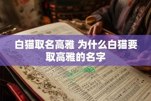 白猫取名高雅 为什么白猫要取高雅的名字