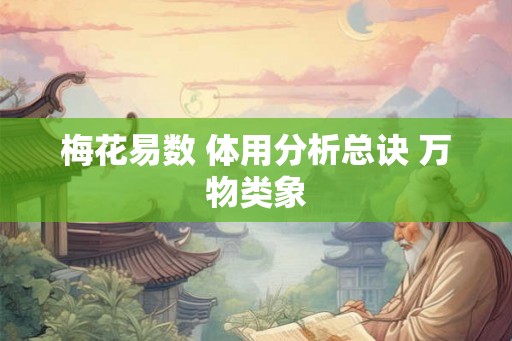 梅花易数 体用分析总诀 万物类象
