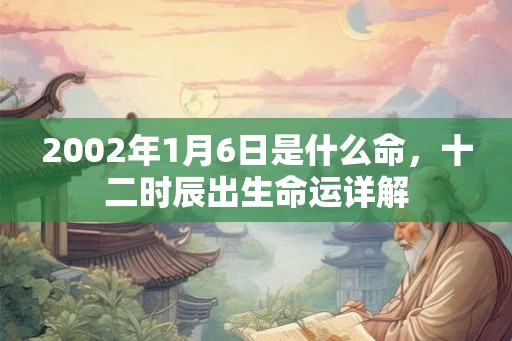 2002年1月6日是什么命，十二时辰出生命运详解