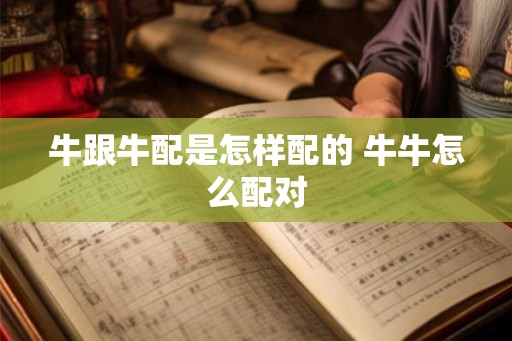牛跟牛配是怎样配的 牛牛怎么配对