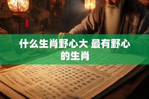 什么生肖野心大 最有野心的生肖