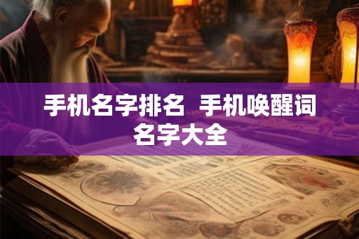 手机名字排名  手机唤醒词名字大全