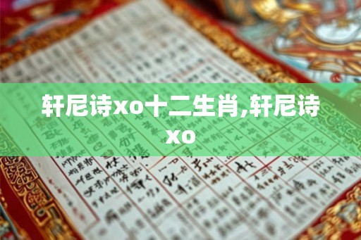 轩尼诗xo十二生肖,轩尼诗xo