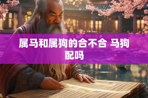 属马和属狗的合不合 马狗配吗