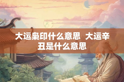 大运枭印什么意思  大运辛丑是什么意思
