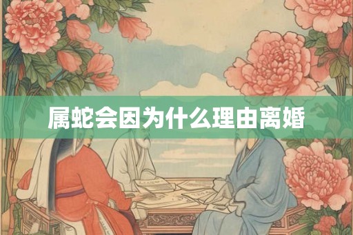 属蛇会因为什么理由离婚