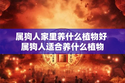 属狗人家里养什么植物好 属狗人适合养什么植物