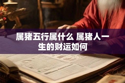 属猪五行属什么 属猪人一生的财运如何