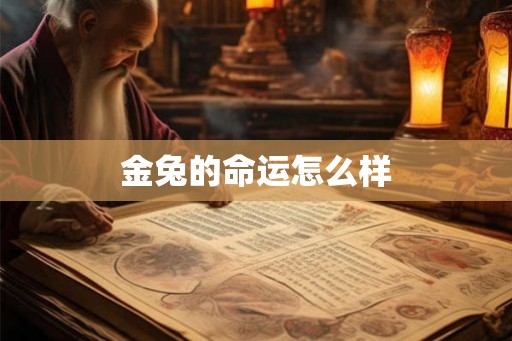 金兔的命运怎么样
