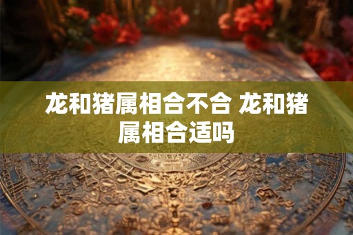 龙和猪属相合不合 龙和猪属相合适吗 龙和猪属相合不合 龙和猪属相合适吗