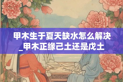 甲木生于夏天缺水怎么解决_甲木正缘己土还是戊土