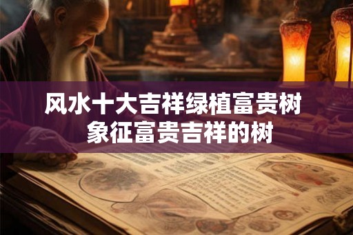 风水十大吉祥绿植富贵树  象征富贵吉祥的树