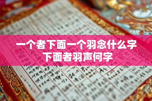 一个者下面一个羽念什么字 下面者羽声何字