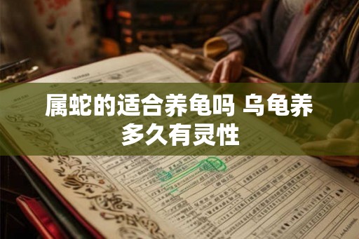 属蛇的适合养龟吗 乌龟养多久有灵性