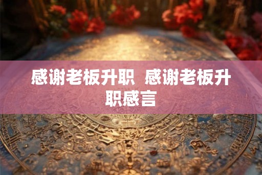 感谢老板升职  感谢老板升职感言