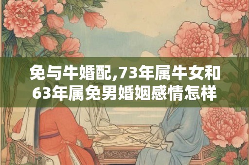 免与牛婚配,73年属牛女和63年属免男婚姻感情怎样