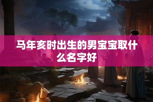 马年亥时出生的男宝宝取什么名字好