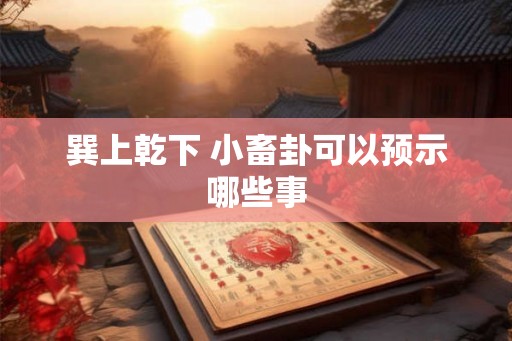巽上乾下 小畜卦可以预示哪些事