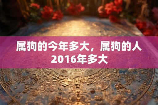 属狗的今年多大，属狗的人2016年多大