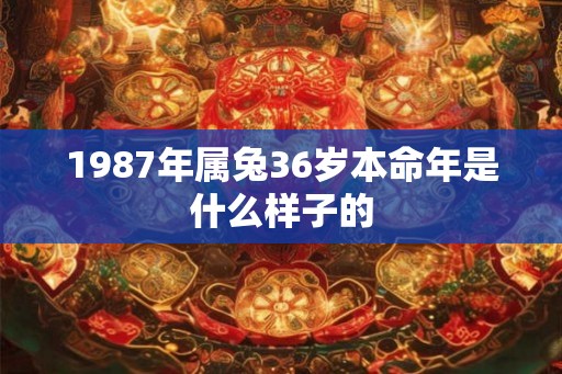 1987年属兔36岁本命年是什么样子的