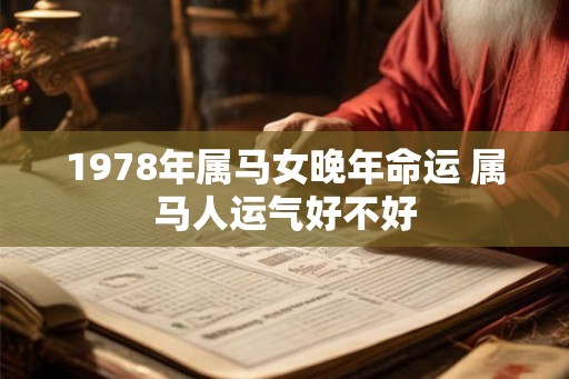1978年属马女晚年命运 属马人运气好不好