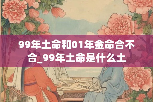99年土命和01年金命合不合_99年土命是什么土