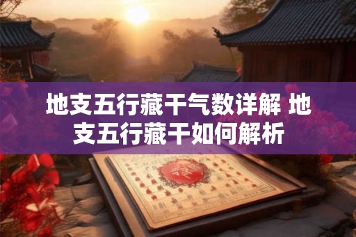 地支五行藏干气数详解 地支五行藏干如何解析