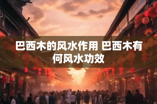 巴西木的风水作用 巴西木有何风水功效