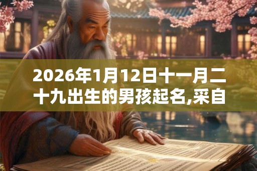 2026年1月12日十一月二十九出生的男孩起名,采自诗经楚辞