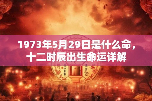 1973年5月29日是什么命，十二时辰出生命运详解