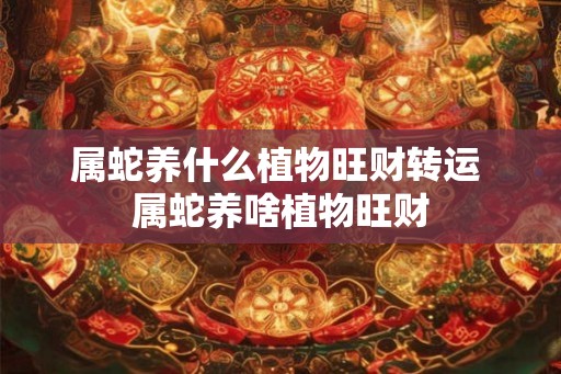 属蛇养什么植物旺财转运 属蛇养啥植物旺财